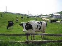 Agriculture in South Korea