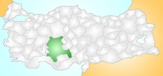 코니아 주