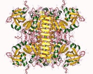 파일:5w5r.jpg - Wikiwand Wikiwand - 파일:5w5r.jpg