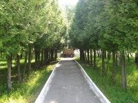 Ushakovo, Yelninsky District - Wikidata Ushakovo, Yelninsky District