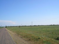 Iarke - Wikidata Iarke