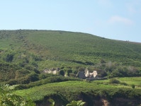 Octave de Traynel - Wikidata Octave de Traynel