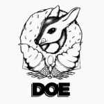 Doe Donuts