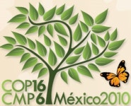 2010 United Nations Climate Change Conference