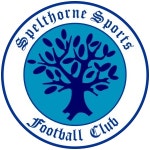 Spelthorne Sports F.C.