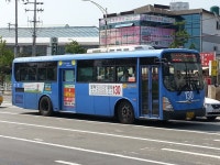 포항시의 시내버스