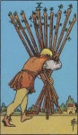 봉의 10