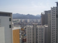 월배동