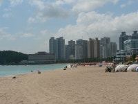 우신골든스위트