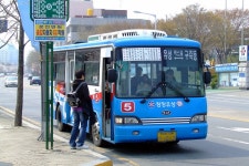 기아 코스모스
