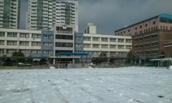 백석고등학교 (경기)