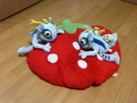 월드 오브 워크래프트 인벤 : [헬스-호드] 감자캐러간년이 등에흙은왜묻어 - 와우 인벤 길드 홍보 게시판 [헬스-호드] 감자캐러간년이... 