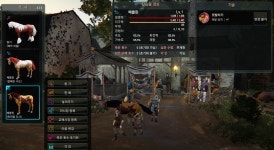 검은사막 인벤 : (합성) 3티어 21레벨 + 2티어 22레벨 하... - 검은사막 인벤 탈것 정보 게시판 (합성) 3티어 21레벨 + 2티어 22레벨 하...