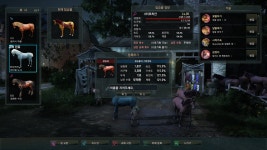 검은사막 인벤 : 6티 20+ 6티 14 교배 결과 - 검은사막 인벤 탈것 정보 게시판 6티 20+ 6티 14 교배 결과