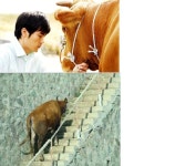 월드 오브 워크래프트 인벤 : 몬텔님 인장 배달 왔습니다. ^^ - 와우 인벤 헬스크림 서버 게시판 몬텔님 인장 배달 왔습니다. ^^