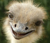 대균열 하면 생기는 일 - 디아블로3 인벤 악마사냥꾼 - 디아블로3 인벤 대균열 하면 생기는 일