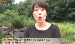 리그오브레전드 인벤 : 동1 - LoL 이미지 링크 게시판 동1