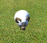 파이널판타지14 인벤 : 결제 이벤트 꼬친 [꼬마 양]이에양 - 파이널판타지14 인벤 자유게시판 결제 이벤트 꼬친 [꼬마 양]이에양