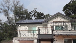 리그오브레전드 인벤 : 우리집태양광도있다규 - LoL 인벤 자유 주제 게시판