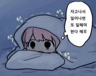 웹진 인벤 : 월요일 메우 - 테라 인벤 자유게시판 월요일 메우