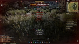 검은사막 인벤 : 가문:제임스딱풀 스틸러 - 검은사막 인벤 사건사고 게시판 가문:제임스딱풀 스틸러
