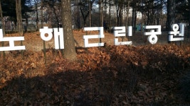 포켓몬 GO 인벤 : 어린이대공원 노해근린공원 후기 - 포켓몬 GO 인벤 자유 게시판 어린이대공원 노해근린공원 후기