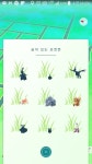 포켓몬 GO 인벤 : 아까 네이티라고 하신분 - 포켓몬 GO 인벤 자유 게시판 아까 네이티라고 하신분