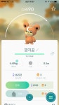 포켓몬 GO 인벤 : 깜지곰??? 이거 왤케 귀여웤ㅋㅋㅋ - 포켓몬GO 인벤 게시판 깜지곰??? 이거 왤케 귀여웤ㅋㅋㅋ