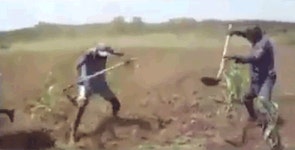 웹진 인벤 : 살인충동 주차요원.GIF - 오픈이슈갤러리 살인충동 주차요원.GIF