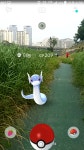 포켓몬 GO 인벤 : 퇴근길 미뇽 - 포켓몬 GO 인벤 자유 게시판 퇴근길 미뇽