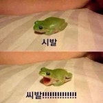 검은사막 인벤 : 아 씨바. - 검은사막 인벤_미스틱 게시판 아 씨바.