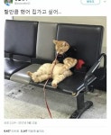 오버워치2 인벤 : 할만큼했오...집에갈래.jpg - 오버워치2 인벤 자유게시판 할만큼했오...집에갈래.jpg