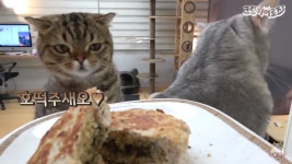 오버워치2 인벤 : 루루애오 루루애오!!먹는거주새오!!!♥♥ - 오버워치2 인벤 자유게시판 루루애오 루루애오!!먹는거주새오!!!♥♥