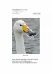 하스스톤 인벤 : 오리가 얼면? - 하스스톤 인벤 자유 게시판 오리가 얼면?