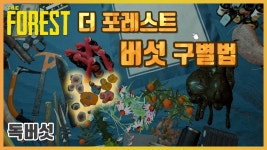 팟벤 : 더 포레스트 버섯 구별법 공략 - 인벤 스팀 파티 인벤 더 포레스트 버섯 구별법 공략