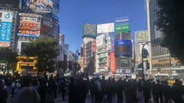 월드오브탱크 인벤 : 시부야 왔음 - 월드오브탱크 인벤 자유게시판 시부야 왔음