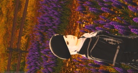 파이널판타지14 인벤 : 대구 경대북문쪽 잘아시는분 - 파이널판타지14 인벤 자유게시판