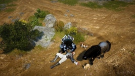 검은사막 인벤 : 자이 형제분 참다참다 못해 - 검은사막 인벤 자이언트 직업게시판