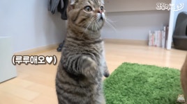 루루애오.. - 디아블로3 인벤 악마사냥꾼 - 디아블로3 인벤 루루애오..