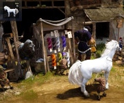 검은사막 인벤 : 백마저격 성공!! - 검은사막 인벤 탈것 정보 게시판