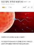 정자의 우주여행 - 오픈이슈갤러리 - 인벤 정자의 우주여행