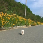 리그오브레전드 인벤 : 돌리기 아쉬운 - LoL 인벤 자유 주제 게시판