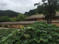 길 잘못들어서 봉하마을 와버림 - 오픈이슈갤러리 - 인벤 길 잘못들어서 봉하마을 와버림 - 오픈이슈갤러리