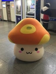 메이플스토리 인벤 : 홍대 굉크넨카페 주황버섯 등장 - 메이플스토리 인벤 자유게시판 (구) 홍대 굉크넨카페 주황버섯 등장