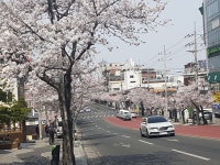 대항해시대 인벤 : 그만들 싸우고 - 대항해시대 인벤 자유게시판