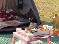 메이플스토리 인벤 : 혐주의) 실시간 뚝섬유원지 - 메이플스토리 인벤 자유게시판