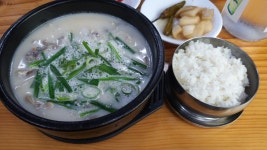 리그오브레전드 인벤 : 투데이즈 혼밥 - LoL 인벤 자유 주제 게시판