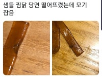 메이플스토리 인벤 : 찜닭 당면 떨어뜨렸는데 모기잡음. - 메이플스토리 인벤 자유게시판