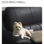 파이널판타지14 인벤 : 이 인간아 - 파이널판타지14 인벤 자유게시판 이 인간아