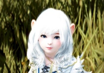 검은사막 인벤 : 샤 - 검은사막 인벤 커스터마이징 게시판